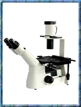 Premiere® Inverted Microscope MIS-9000